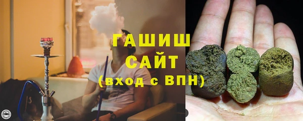 ПСИЛОЦИБИНОВЫЕ ГРИБЫ Грязовец