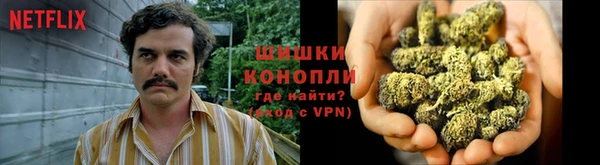 ПСИЛОЦИБИНОВЫЕ ГРИБЫ Грязовец