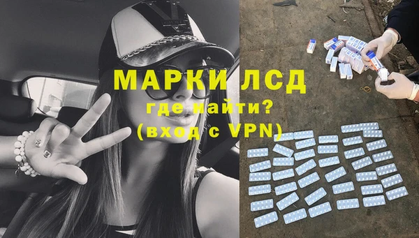 ПСИЛОЦИБИНОВЫЕ ГРИБЫ Грязовец