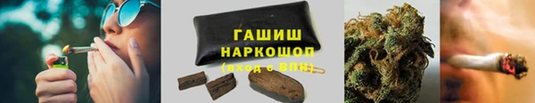 ПСИЛОЦИБИНОВЫЕ ГРИБЫ Грязовец