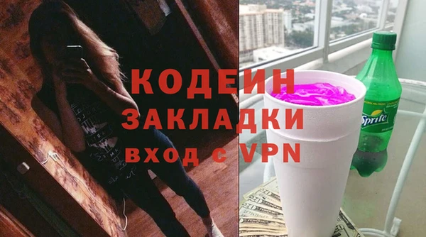 ПСИЛОЦИБИНОВЫЕ ГРИБЫ Грязовец