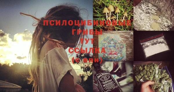 амф Губаха