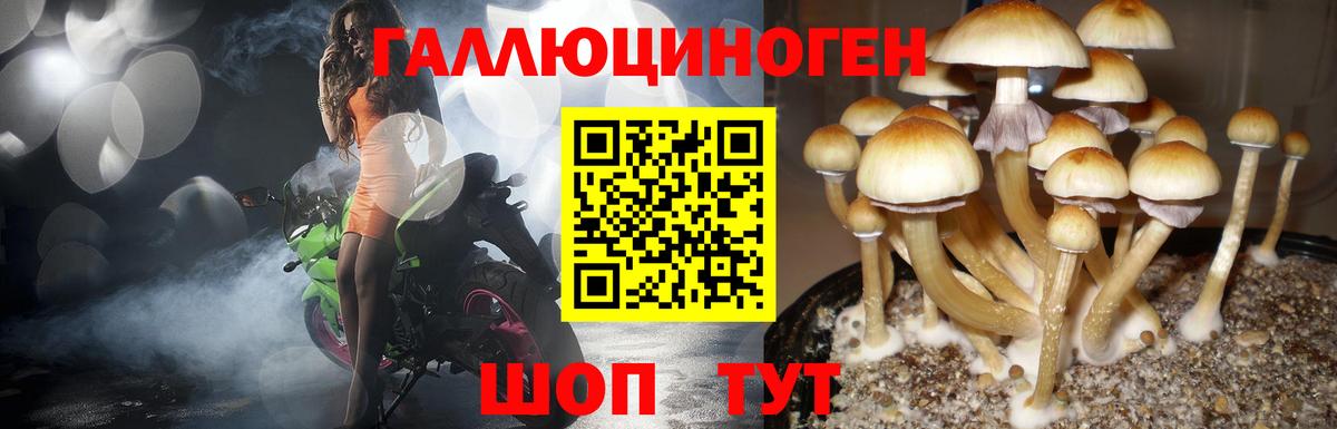 ГАШ  МЕФ  Вход с VPN  МЕТАДОН  Меф   МАРИХУАНА  Зеленодольск  А ПВП СОЛЬ кристаллы  Экстази 