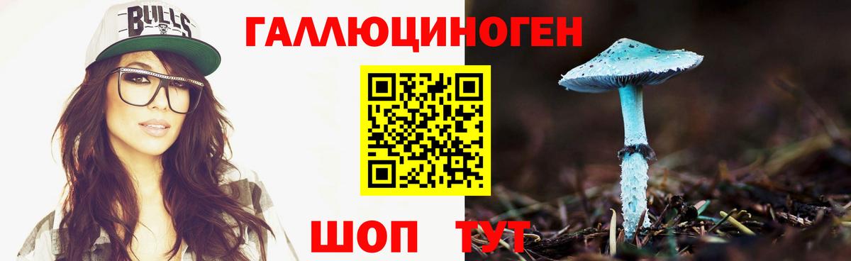 Галлюциногенные грибы Cubensis Зеленодольск